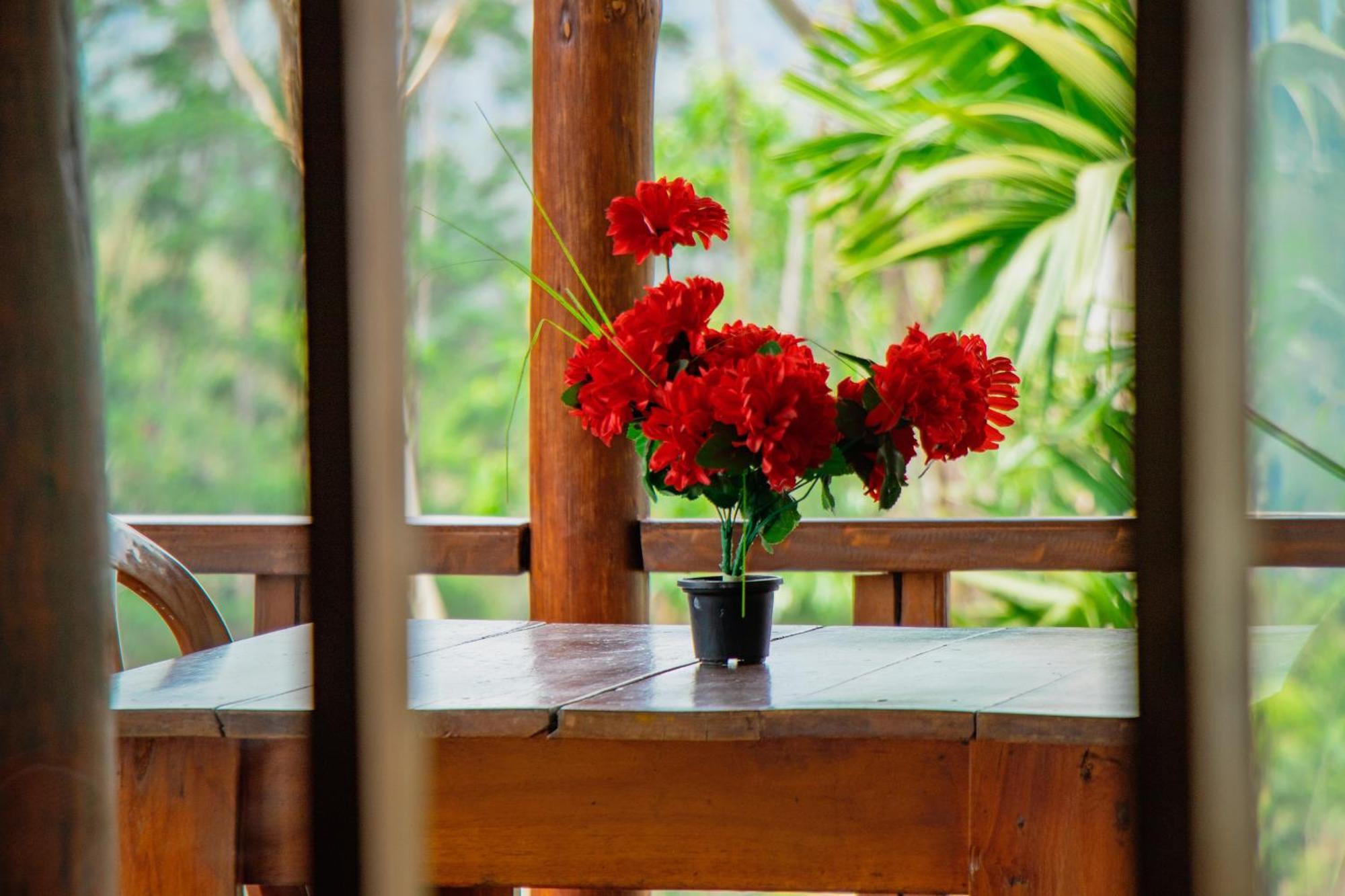 The Sunshine Ella Apartment ภายนอก รูปภาพ